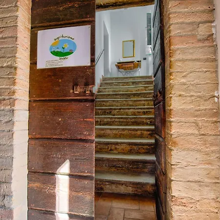 Fiore Apartamento *