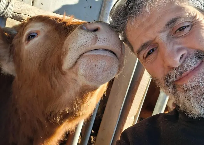 Fiore アパート *