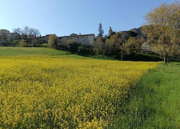 アパート Fiore スポレート